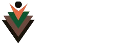 Village Welfare Society